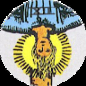 Meet your Posher, Allen